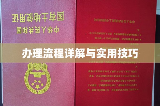 章丘办理流程详解与实用技巧